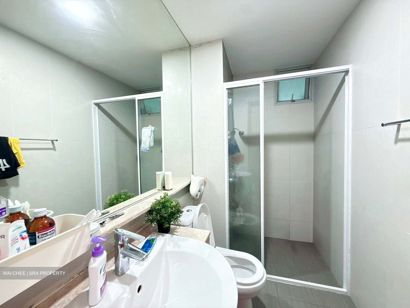 The Raintree (D21), Condominium #541579211